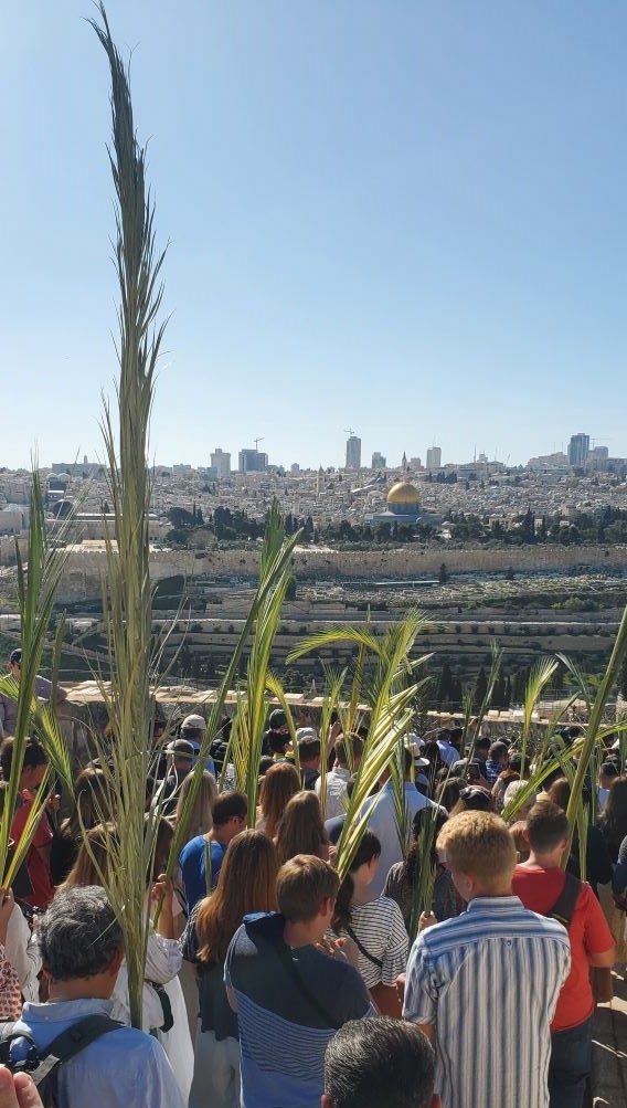 palm sunday and dome